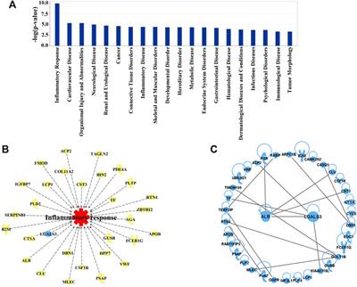 Galectin-3 Mediated Inflammatory Response Contributes to Neurological Recovery by QiShenYiQi in Subacute Stroke Model